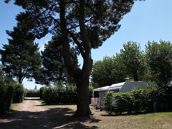 Le Cadran Solaire campsite